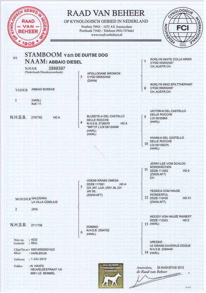 Stamboom_Diesel