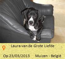 Laura dog nieuwBaasje