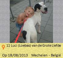 Lord dog nieuwBaasje