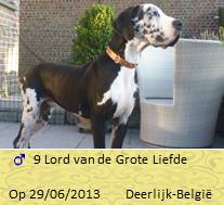 Lord dog nieuwBaasje