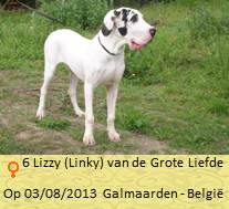 Lord dog nieuwBaasje