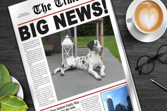 Groot nieuws Zina dog