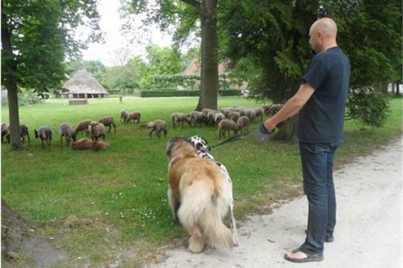 Nieuwe familie Zina dog