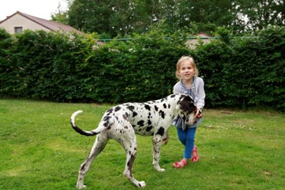 Nieuwe familie Zina dog