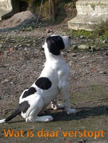 Casper_Verstopt