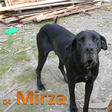 Mirza