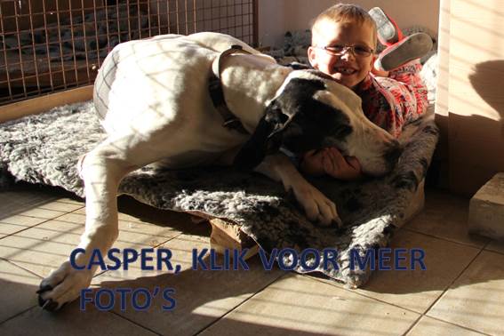 Pups 10-12-2012