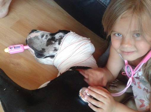 Pups worden gewassen