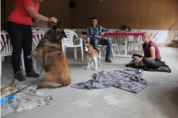 foto-duitsedog-knuffelen