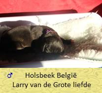 pups op 1 dagen