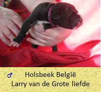 pups op 5 dagen