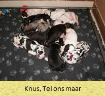 tel ons maar