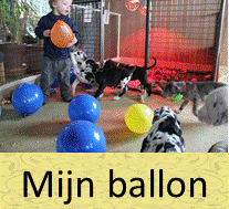 we gaan naar de balon van kyan, en pakken hem af