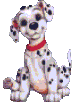 Joepie