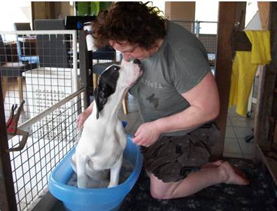 Wassen Leubbe Dog pupy