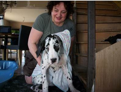 Wassen Leubbe Dog pupy
