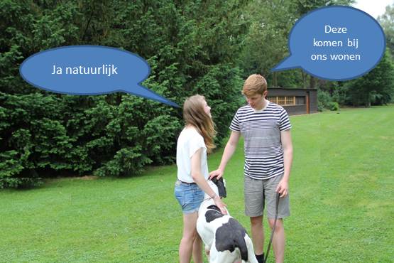 verassing-verjaardag-een -dog