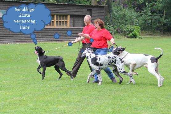 verassing-verjaardag-een -dog