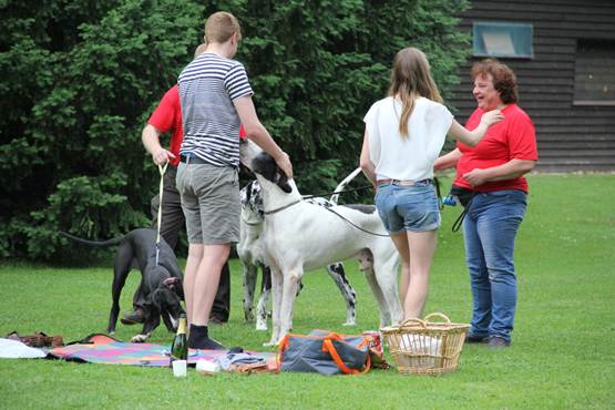 Verjaardag-verassing -met-doggen